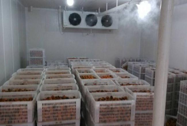 跟着安徽草莓APP下载官网一起来了解下影响冷库设备制冷效果的几个因素吧！