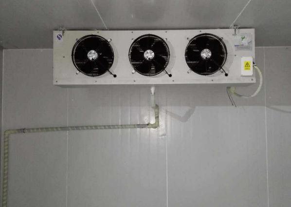 草莓视频IOS在线观看维修
