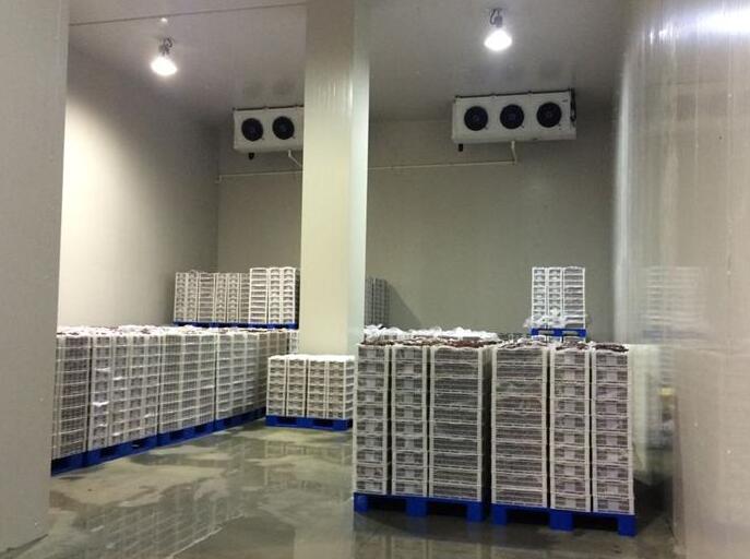冷库建造类型有几种？草莓视频IOS在线观看的价格组成部分？