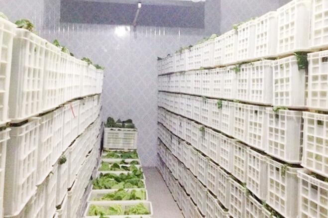 小知识：草莓视频IOS在线观看安装公司报价为什么区别很大？