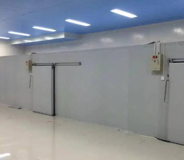 鲜花保鲜冷库如何配置效果更好？请看安徽草莓APP下载官网冷库厂家的介绍