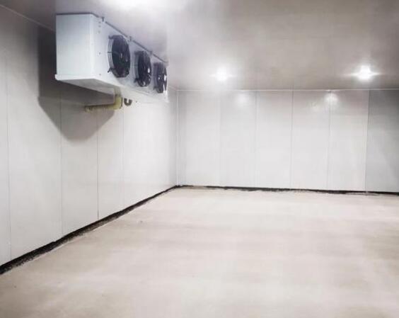 小知识：安徽草莓APP下载官网生产的冷库运行时注意事项